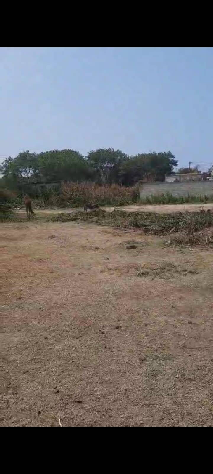 #2451 - Área para Venda em Cabo Frio - RJ