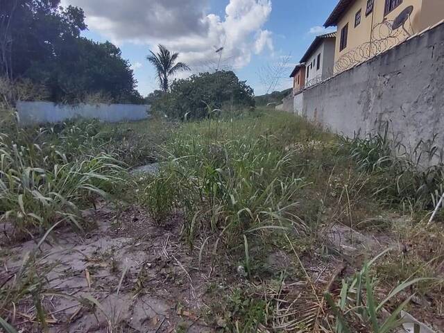 Terreno para Venda em Cabo Frio - 4