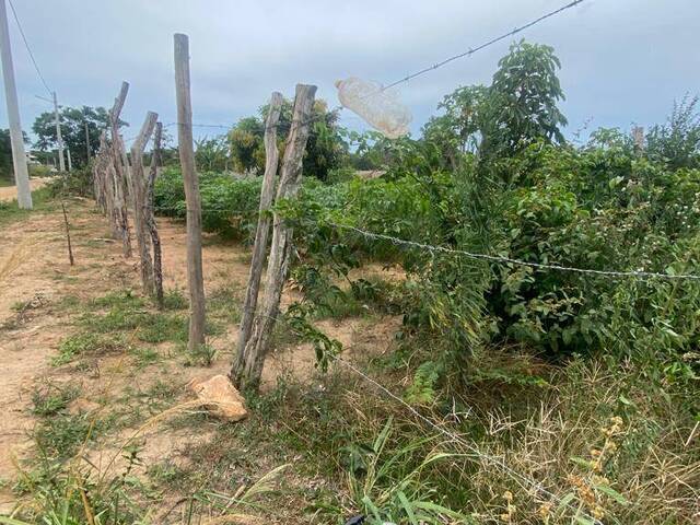 #2302 - Área para Venda em Cabo Frio - RJ - 3